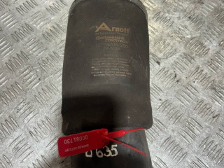 пневмостойка задняя BMW X5 E53 [рестайлинг] 2006, M57N 306 D2, АКПП, внедорожник 5 дв.