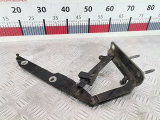 петля капота левая Land Rover Range Rover Sport 1 поколение 2005, 4.2 л., АКПП, внедорожник 5 дв., 5H2216537BA