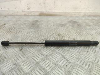 амортизатор крышки багажника (3-5 двери) Chevrolet Rezzo 1 поколение 2006, 095140