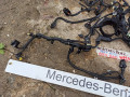 проводка двигателя Mercedes-Benz E-Класс W214 2025, 2.0 л., дизель, A6541500607, A6541507806 - фото №3