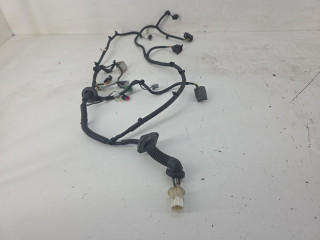 дверная проводка Aston Martin DB9 1 поколение [рестайлинг] 2012, BG4314631AA