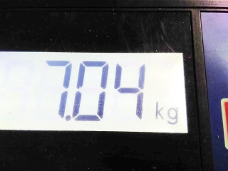 масляный поддон Suzuki Grand Vitara 2 поколение 2006, 1.9 л., МКПП, внедорожник 5 дв., 1151167JG0