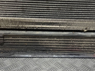 интеркулер BMW 5 серия E60/E61 2006, 2.0 л., дизель, МКПП, бордо, универсал