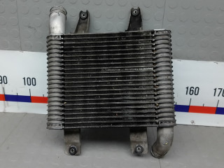 интеркулер Hyundai Terracan 1 поколение [рестайлинг] 2005, 2.9 л., дизель