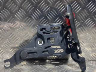 петля капота правая BMW X5 E70 2008, M57 D30 (306D3), АКПП, черный, внедорожник 5 дв.