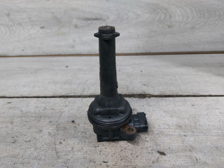 катушка зажигания Volvo XC90 1 поколение (2002 - 2006), 2.5 л., бензин, 30713416, 0221604001