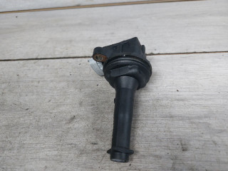 катушка зажигания Ford Kuga 1 поколение (2008 - 2013), 2.5 л., HYDC, бензин, 30713417, 1371601, 8677837, 0221604010