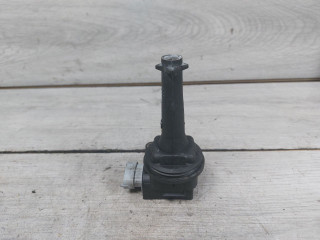 катушка зажигания Ford Kuga 1 поколение (2008 - 2013), 2.5 л., HYDC, бензин, 30713417, 1371601, 8677837, 0221604010