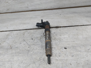 форсунка Land Rover Freelander 2 поколение (2006 - 2010), 2.2 л., 224DT, дизель, 0445115042, 0445115091, LR001325