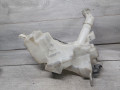 бачок омывателя Mazda 3 BK (2003 - 2005), хетчбэк 5 дв., BP4K67480D, 860142721 - фото №2