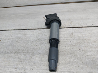 катушка зажигания BMW X5 E70 (2006 - 2010), 3.0 л., бензин, 12131712219, 0221504100, 861615302, 28114820