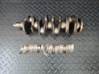 коленвал Renault Trafic 2 поколение [рестайлинг] (2006 - 2015), 2.0 л., DCi, M9R 786, дизель, 1220100Q0B, 93161570, 8200385222