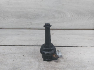 катушка зажигания Ford Kuga 1 поколение (2008 - 2013), 2.5 л., HYDC, бензин, 30713417, 1371601, 8677837, 0221604010