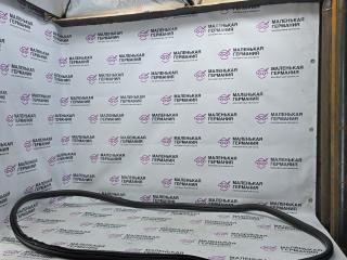 уплотнитель двери BMW X1 F48 2016, 2.0 л., B47 C20 A, дизель, АКПП, alpinweiss 3 (300), передний привод, правый руль, 7349665, 51727440034, 7440034