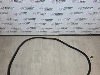 уплотнитель двери BMW X6 E71/E72 E71 2009, 3.0 л., N54 B30 A, бензин, серебро, правый руль, 7234932