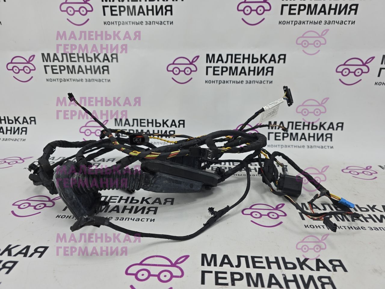дверная проводка BMW 6 серия F06/F12/F13 2012, 4.4 л., N63 B44 B, бензин, АКПП, alpinweiss 3 (300), хетчбэк 5 дв., задний привод, правый руль, 7202637, 9255415, 9255414, 61129303716, 9303716 - фото №1