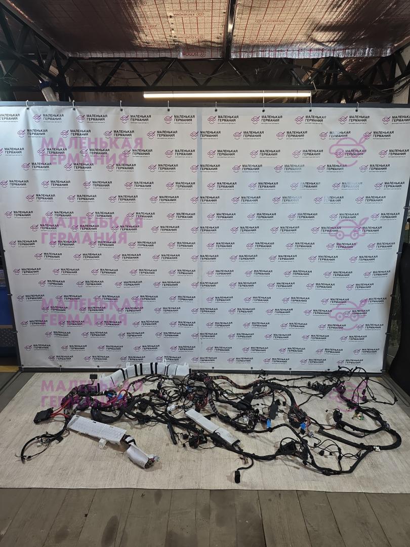 проводка BMW X5 F15 2013, 3.0 л., N57 D30 A, дизель, АКПП, mineralweiss metallic (a96), внедорожник 5 дв., полный привод, правый руль - фото №1