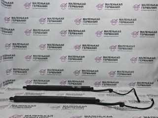 амортизатор крышки багажника (3-5 двери) BMW X5 F15 2013, 3.0 л., N57 D30 A, дизель, АКПП, mineralweiss metallic (a96), внедорожник 5 дв., полный привод, правый руль, 51247294469, 51247361878, 7294469, 7361878, 51244823279, 4823279