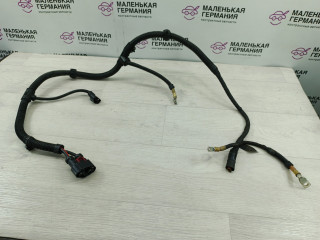 проводка двигателя BMW 5 серия F07/F10/F11 (2009 - 2013), 2.5 л., N52 B25 AF, бензин, АКПП, 1717413883, 9805944