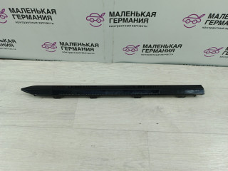 молдинг двери задней правой Zeekr 001 1 поколение (2021 - 2024), 8889673025