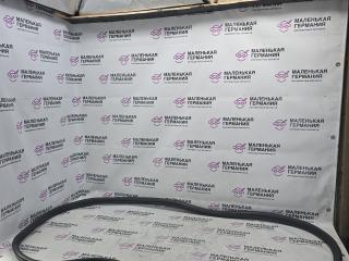 уплотнитель двери BMW X6 E71/E72 E71 2009, 3.0 л., N54 B30 A, бензин, серебро, правый руль, 7234933