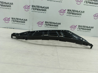 заглушка (решетка) в бампер BMW X3 G01 (2017 - 2026), 2.0 л., B46 B20 B, бензин, АКПП, белый alpinweiss 3 (300), 51118069440, 8069440