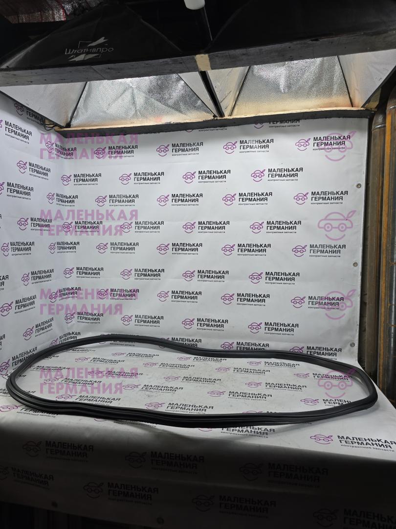 уплотнитель двери BMW X1 F48 2016, 2.0 л., B47 C20 A, дизель, АКПП, alpinweiss 3 (300), передний привод, правый руль, 7349665, 51727440034, 7440034 - фото №1