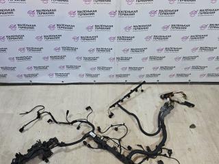 проводка двигателя BMW X5 F15 2013, 3.0 л., N57 D30 A, дизель, АКПП, mineralweiss metallic (a96), внедорожник 5 дв., полный привод, правый руль, 8516448, 851644803, 8516444903, 851644004, 851643904, EA00454777, 738080303A, 7804214, 13627805758, 7804213