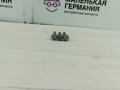 болт BMW 3 серия E46 [рестайлинг] (2001 - 2006), 2.0 л., N42 B20 A, бензин, АКПП, 23007519717, 7519717 - фото №6