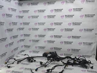 проводка двигателя BMW X1 F48 2017, 2.0 л., B48 A20 B, бензин, АКПП, alpinweiss 3 (300), полный привод, правый руль, 7590356, 12527639966, 7639968, 8646482, 12518625310, 8625310, 12518644495, 8644495