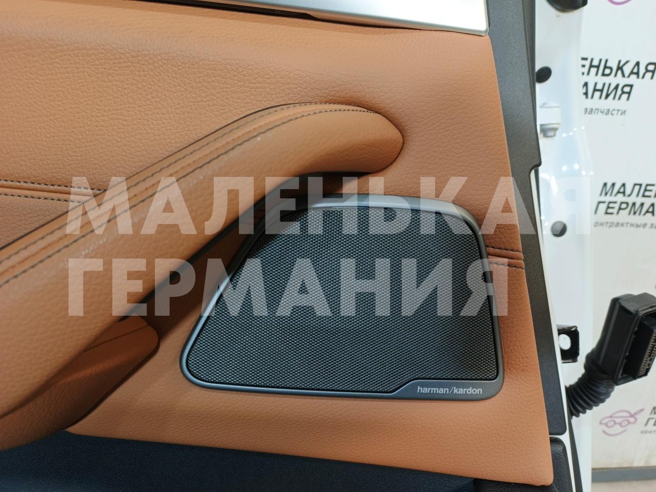 динамик двери BMW 5 серия G30/G31 G30 2018, 2.0 л., B48 B20 A, бензин, АКПП, a96 mineral-weiss metallic, седан, задний привод, правый руль - фото №1
