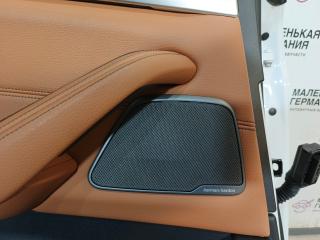 динамик двери BMW 5 серия G30/G31 G30 2018, 2.0 л., B48 B20 A, бензин, АКПП, a96 mineral-weiss metallic, седан, задний привод, правый руль