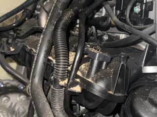 коллектор впускной Mercedes-Benz GLA-Класс X156 2014, 2.0 л., M 270.920, бензин, робот, белый, хетчбэк 5 дв., полный привод, правый руль