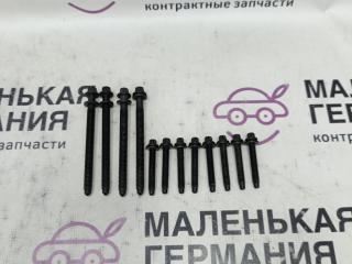 болт BMW X1 F48 2017, 2.0 л., B48 A20 B, бензин, АКПП, alpinweiss 3 (300), полный привод, правый руль, 13538661715, 13538661716, 8661715, 8661716