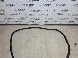 уплотнитель двери BMW X6 E71/E72 E71 2009, 3.0 л., N54 B30 A, бензин, серебро, правый руль, 7234933