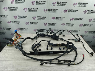 проводка двигателя BMW 3 серия E90/E91/E92/E93 (2004 - 2010), 2.0 л., N46 B20 BD, бензин, 7570578, 12517570577, 7570577, 12517570576, 7570576
