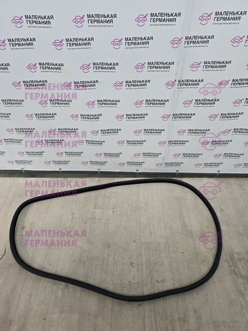 уплотнитель дверного проема задний задней BMW X5 F15 2013, 3.0 л., N57 D30 A, дизель, АКПП, mineralweiss metallic (a96), внедорожник 5 дв., полный привод, правый руль, 51727289639, 7289639, 51727289689, 7289689 - фото №1