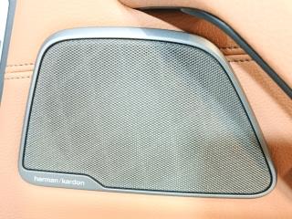 динамик двери BMW 5 серия G30/G31 G30 2018, 2.0 л., B48 B20 A, бензин, АКПП, a96 mineral-weiss metallic, седан, задний привод, правый руль