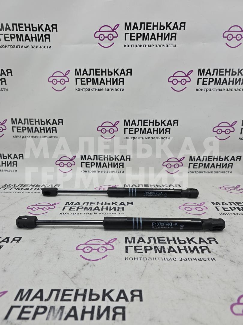 амортизатор капота BMW 6 серия F06/F12/F13 2012, 4.4 л., N63 B44 B, бензин, АКПП, alpinweiss 3 (300), хетчбэк 5 дв., задний привод, правый руль, 51237309117, 7309117 - фото №1