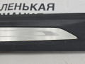 накладка на порог внутренняя BMW X1 F48 2017, 2.0 л., B48 A20 B, бензин, АКПП, синий mediterranblau c10, полный привод, правый руль, 51477263315, 7263315 - фото №10