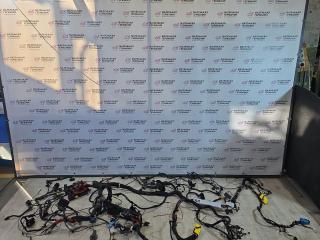 проводка BMW X1 F48 2016, 2.0 л., B47 C20 A, дизель, АКПП, alpinweiss 3 (300), передний привод, правый руль, 7590356, 13264011, 9323805, 9389548, 9385208, 61139309444, 9309444, 9328853, 61136941424, 6941424, 6913653, 9267278, 7590363, 8526162, 9221027, 8364549, 9354842, 61139354842, 1823486, 9360501