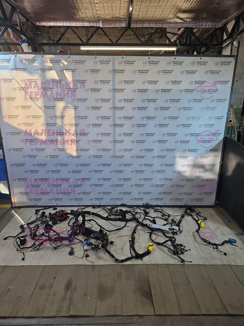 проводка BMW X1 F48 2016, 2.0 л., B47 C20 A, дизель, АКПП, alpinweiss 3 (300), передний привод, правый руль, 7590356, 13264011, 9323805, 9389548, 9385208, 61139309444, 9309444, 9328853, 61136941424, 6941424, 6913653, 9267278, 7590363, 8526162, 9221027, 8364549, 9354842, 61139354842, 1823486, 9360501 - фото №1