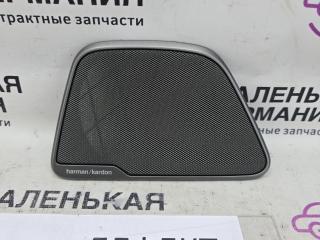 Накладка (сетка) динамика BMW 5 серия G30/G31 G31 2017, 2.0 л., B48 B20 B, бензин, АКПП, alpinweiss 3 (300), универсал, правый руль, 51427416806, 7416806, 2874802