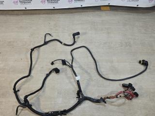 проводка двигателя BMW 6 серия F06/F12/F13 2012, 4.4 л., N63 B44 B, бензин, АКПП, alpinweiss 3 (300), хетчбэк 5 дв., задний привод, правый руль, 7633272