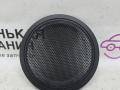 сетка на динамик BMW X1 F48 2017, 2.0 л., B48 A20 B, бензин, АКПП, синий mediterranblau c10, полный привод, правый руль, 7407092 - фото №2
