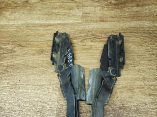 петля капота Citroen C8 1 поколение 2003, 2.2 л., 3FZ (EW12J4), бензин, 5МКПП, минивэн