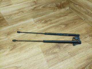 амортизатор крышки багажника (3-5 двери) Ford Focus 2 поколение 2006, 1.6 л., G8DB, дизель, МКПП, универсал, 4M51-N406A10-AB