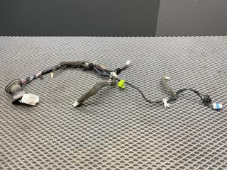 дверная проводка Chevrolet Lacetti 1 поколение J200 2012, 1.6 л., F16D3, бензин, МКПП, хетчбэк 5 дв., передний привод, правый руль, 96409099