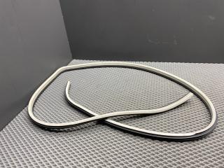 уплотнитель двери Chevrolet Aveo T250 [рестайлинг] T250 2008, 1.4 л., F14D4, бензин, МКПП, 33u - sports blue, седан, передний привод, 96467379