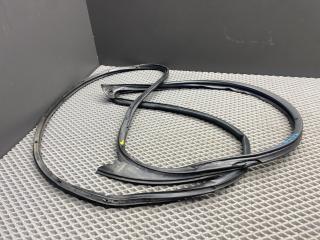 уплотнитель двери Chevrolet Aveo T250 [рестайлинг] T250 2008, 1.4 л., F14D4, бензин, МКПП, 33u - sports blue, седан, передний привод, 94790531, 96541711, 96930398